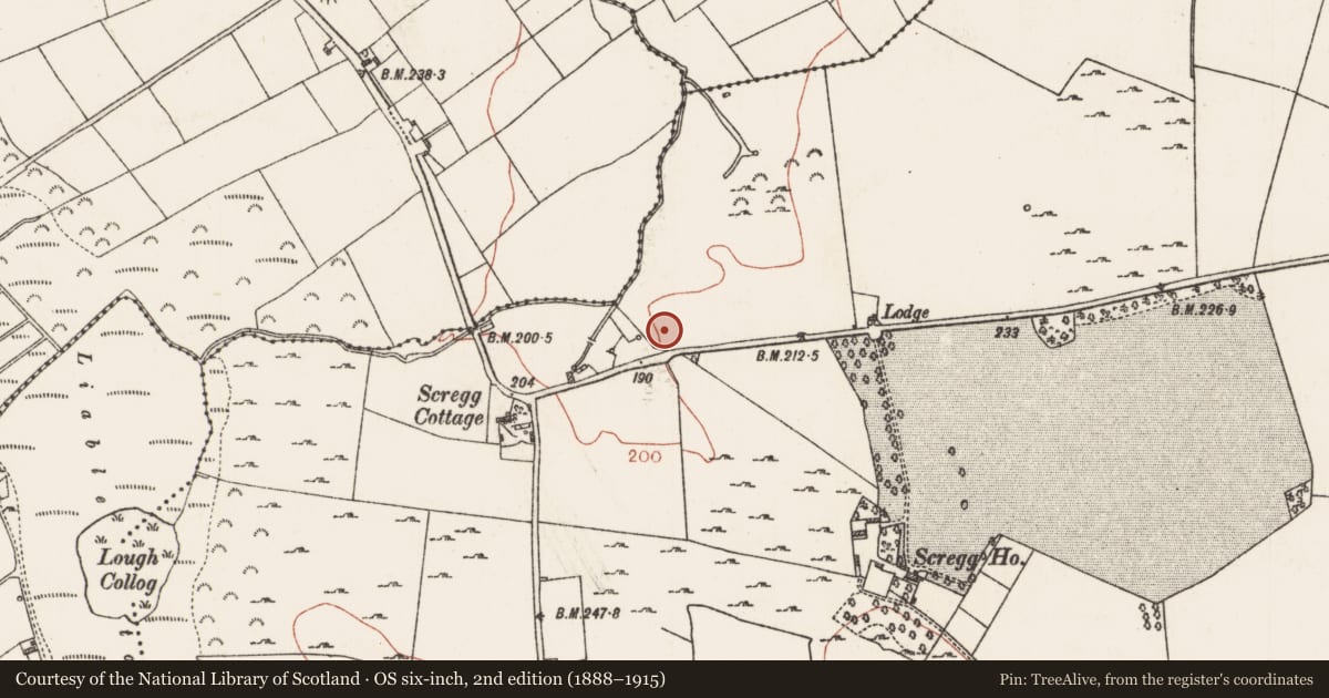 Ordnance Survey six-inch map, 2nd edition (1888–1915) covering the location of Ringfort - rath, Scregg, County Roscommon, with a pin at the register's coordinates