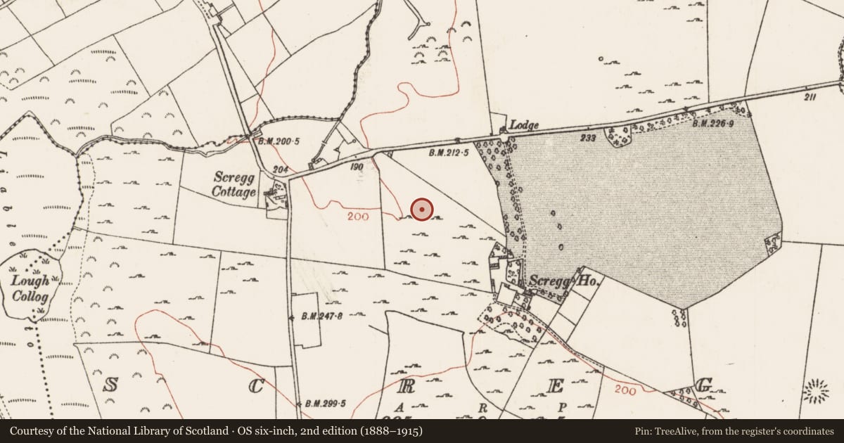 Ordnance Survey six-inch map, 2nd edition (1888–1915) covering the location of Field system, Scregg, County Roscommon, with a pin at the register's coordinates