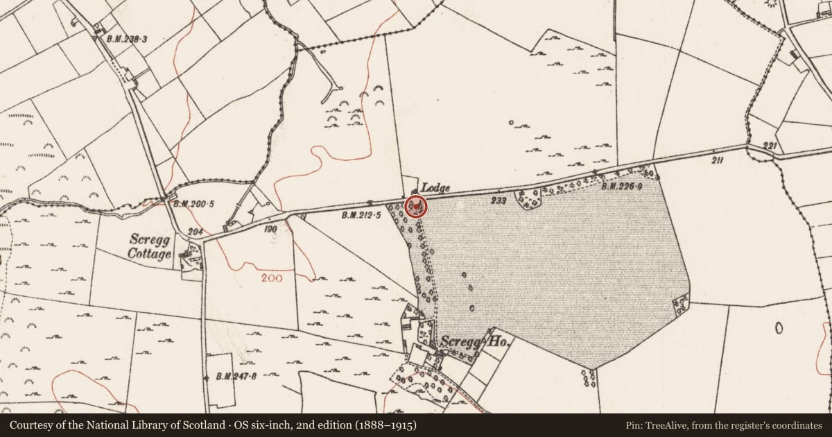 Ordnance Survey six-inch map, 2nd edition (1888–1915) covering the location of Memorial stone, Scregg, County Roscommon, with a pin at the register's coordinates
