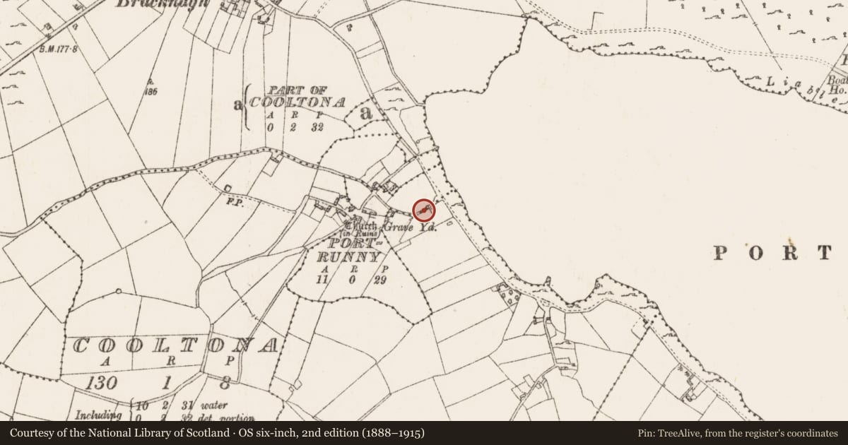 Ordnance Survey six-inch map, 2nd edition (1888–1915) covering the location of Ritual site - holy tree/bush, Portrunny, County Roscommon, with a pin at the register's coordinates