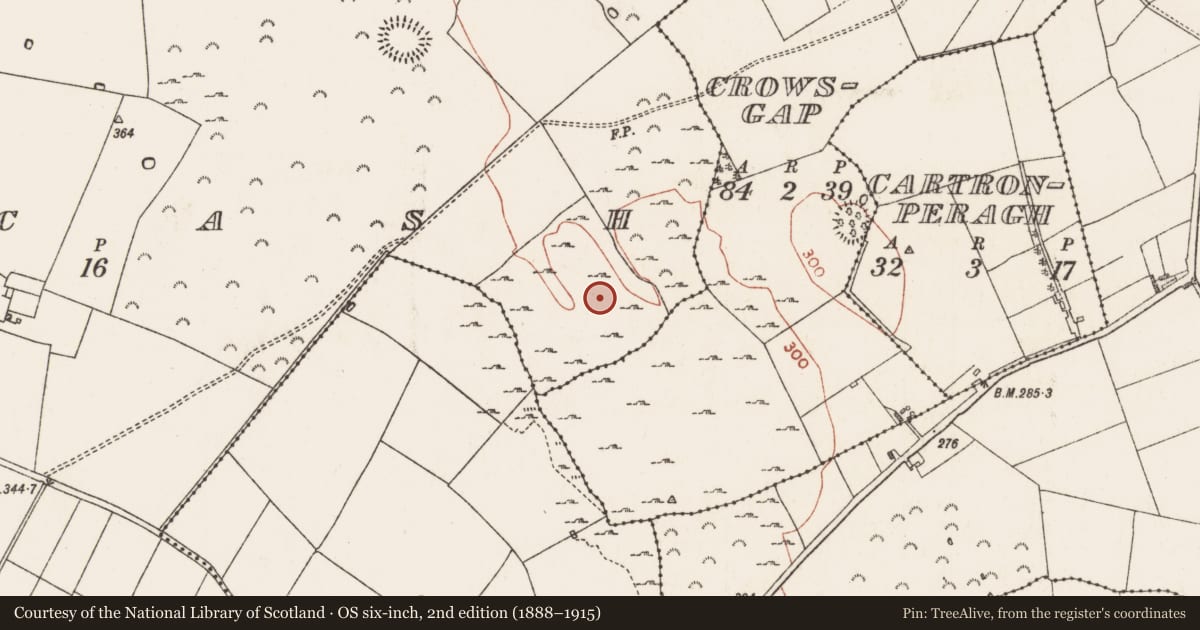 Ordnance Survey six-inch map, 2nd edition (1888–1915) covering the location of Field system, Kilcash, County Roscommon, with a pin at the register's coordinates