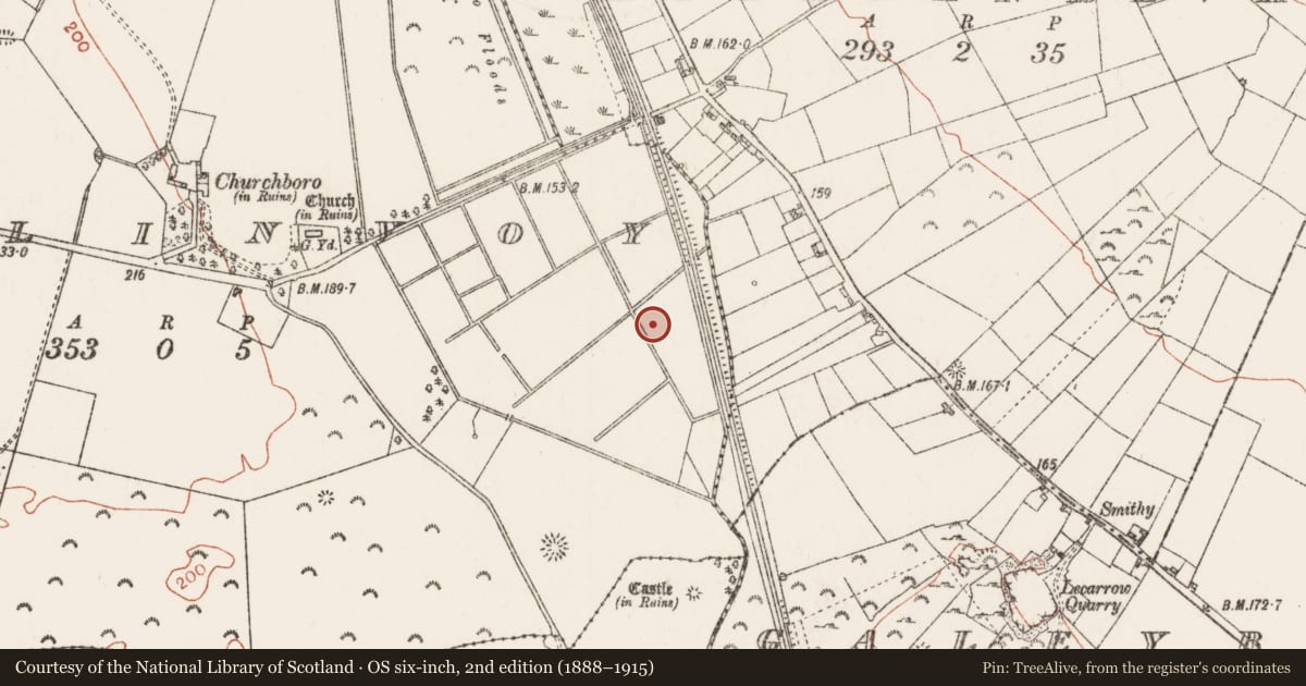 Ordnance Survey six-inch map, 2nd edition (1888–1915) covering the location of Designed landscape - tree-ring, Killinvoy, County Roscommon, with a pin at the register's coordinates