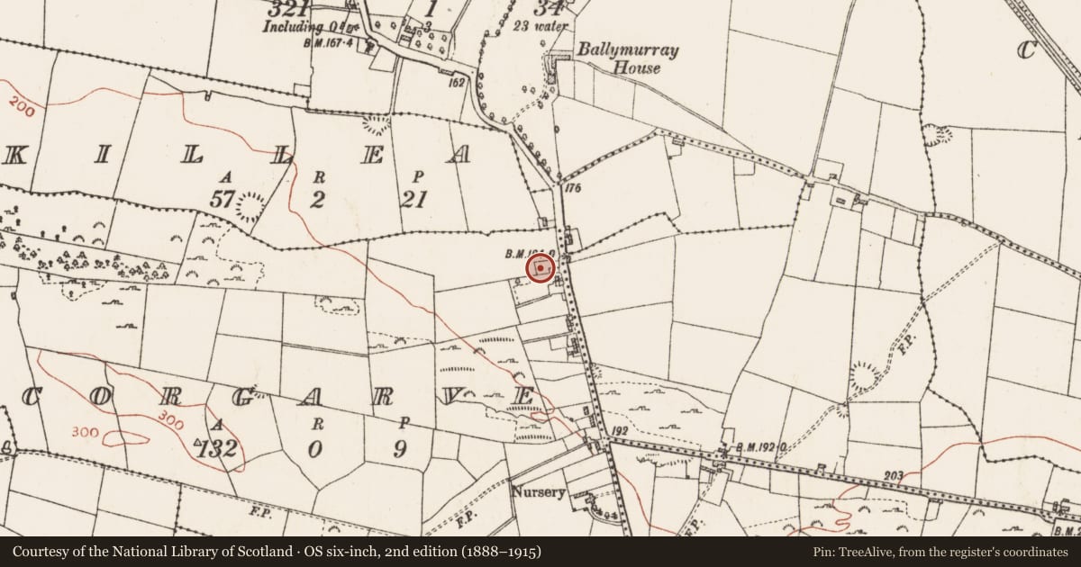 Ordnance Survey six-inch map, 2nd edition (1888–1915) covering the location of Burial ground, Corgarve, County Roscommon, with a pin at the register's coordinates