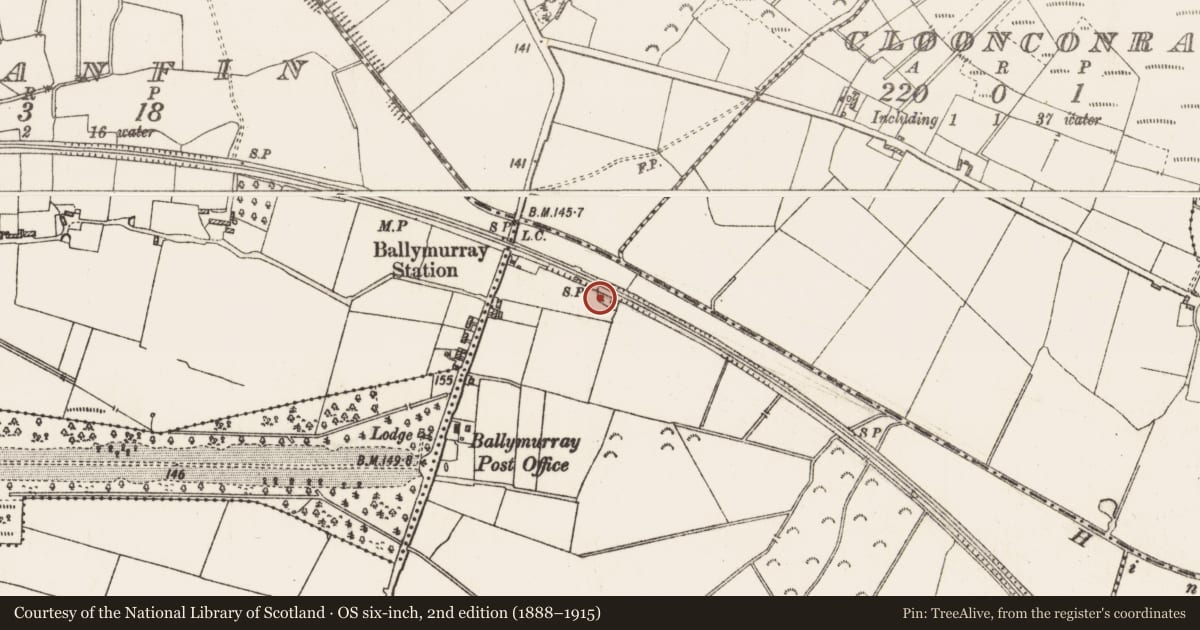 Ordnance Survey six-inch map, 2nd edition (1888–1915) covering the location of Ringfort - rath, Ballymurray, County Roscommon, with a pin at the register's coordinates