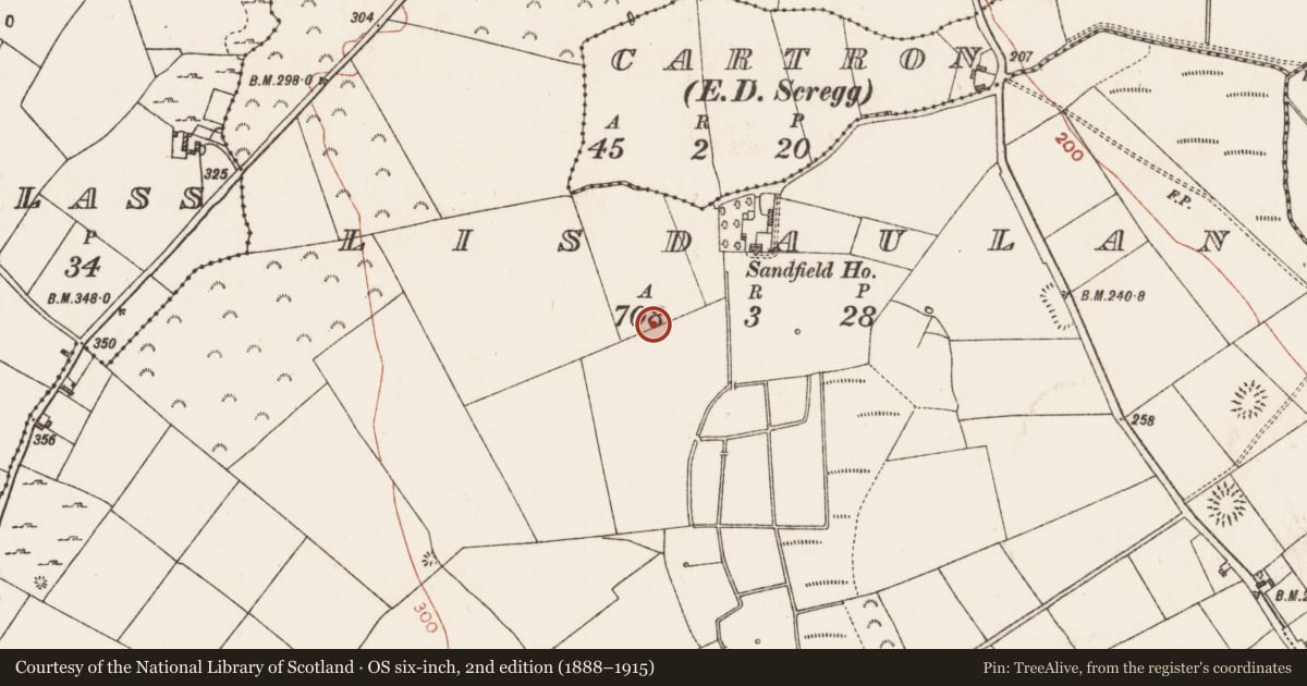 Ordnance Survey six-inch map, 2nd edition (1888–1915) covering the location of Burial, Lisdaulan, County Roscommon, with a pin at the register's coordinates