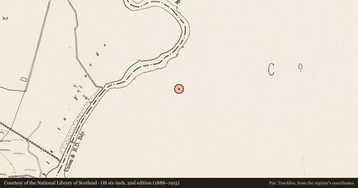 Ordnance Survey six-inch map, 2nd edition (1888–1915) covering the location of Church, Mount Talbot, County Roscommon, with a pin at the register's coordinates