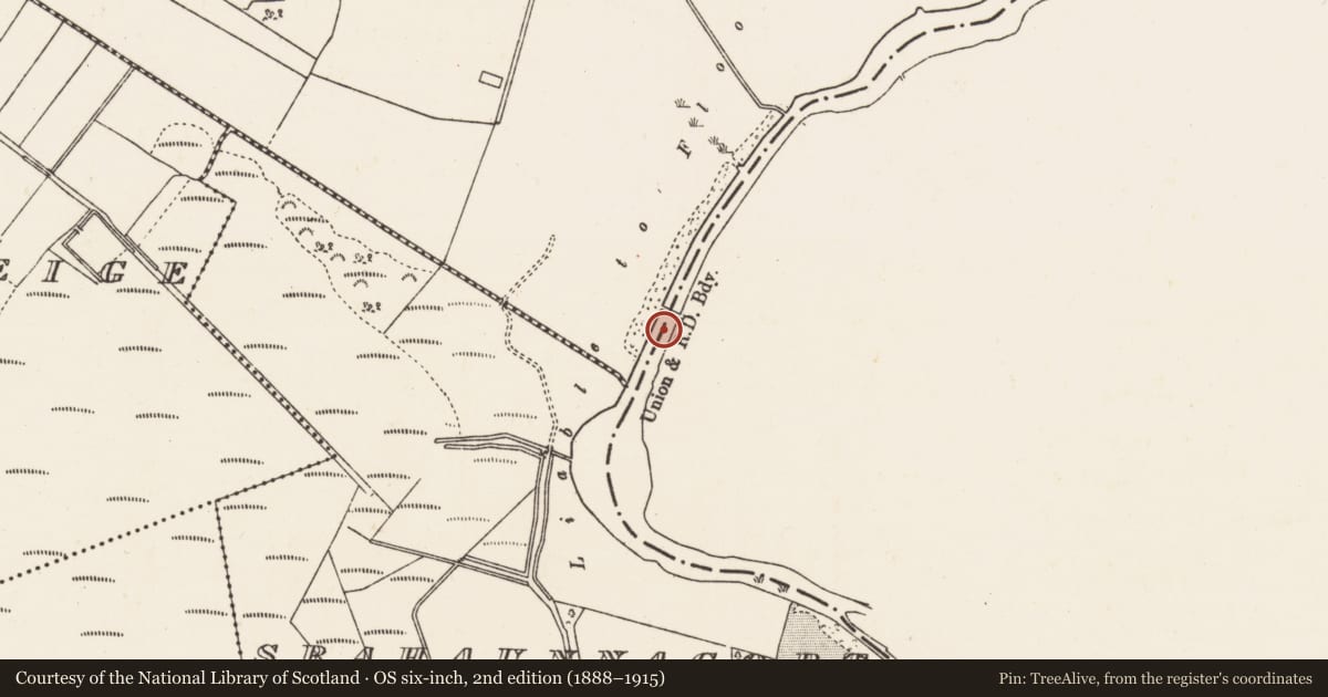 Ordnance Survey six-inch map, 2nd edition (1888–1915) covering the location of Weir - fish, Mount Talbot, County Roscommon, with a pin at the register's coordinates