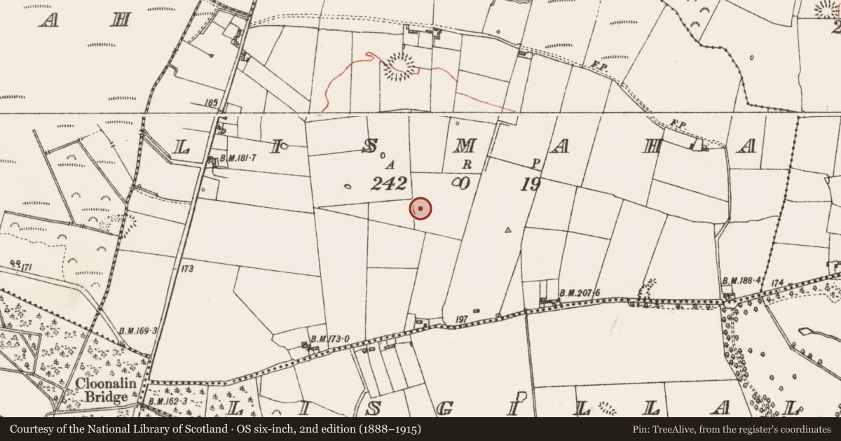 Ordnance Survey six-inch map, 2nd edition (1888–1915) covering the location of Ringfort - rath, Lismaha, County Roscommon, with a pin at the register's coordinates