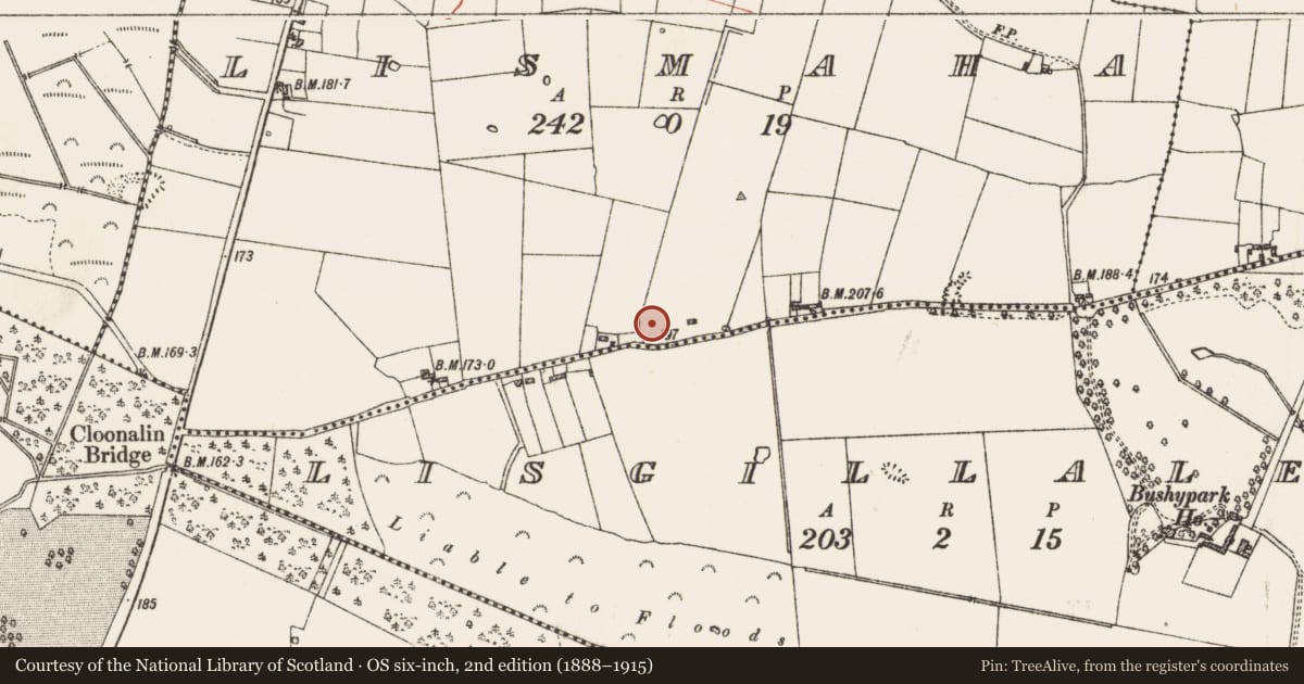 Ordnance Survey six-inch map, 2nd edition (1888–1915) covering the location of Ringfort - rath, Lismaha, County Roscommon, with a pin at the register's coordinates