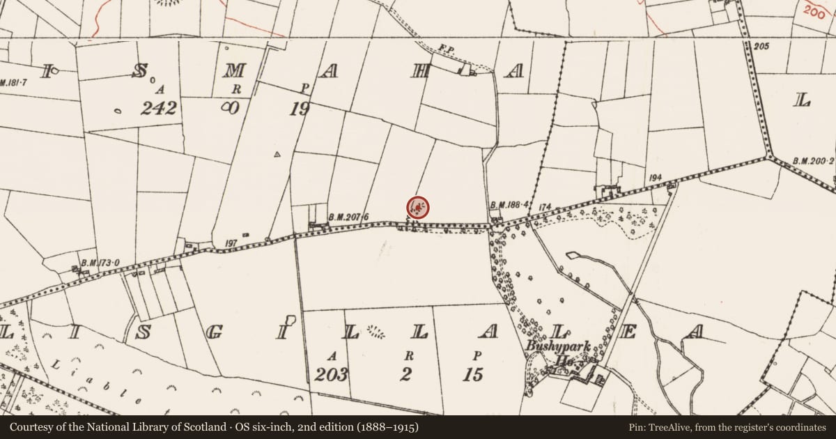 Ordnance Survey six-inch map, 2nd edition (1888–1915) covering the location of Ringfort - rath, Lismaha, County Roscommon, with a pin at the register's coordinates