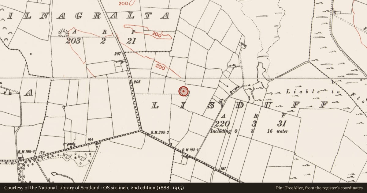 Ordnance Survey six-inch map, 2nd edition (1888–1915) covering the location of Ringfort - rath, Lisduff, County Roscommon, with a pin at the register's coordinates