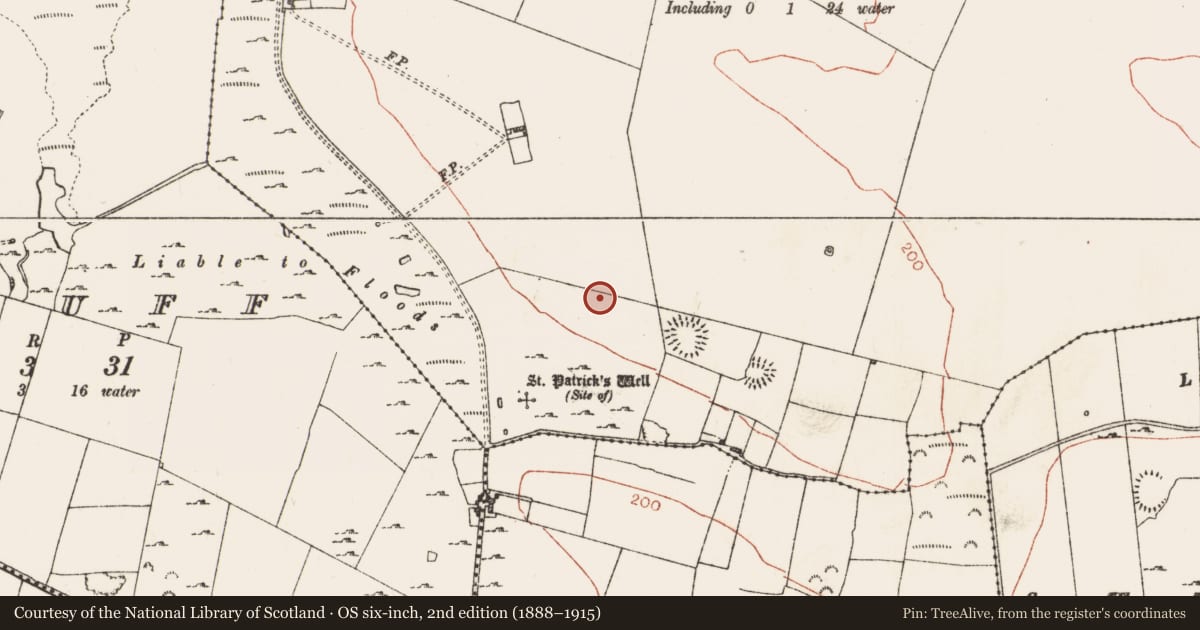 Ordnance Survey six-inch map, 2nd edition (1888–1915) covering the location of Ringfort - rath, Kilmore, County Roscommon, with a pin at the register's coordinates