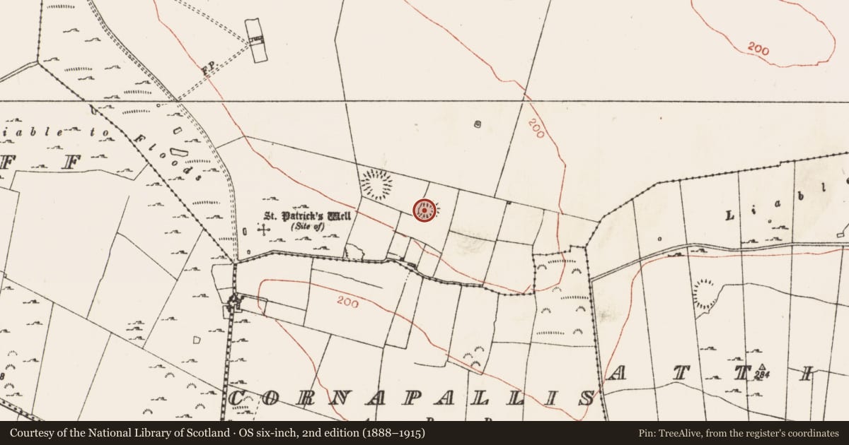 Ordnance Survey six-inch map, 2nd edition (1888–1915) covering the location of Ringfort - rath, Kilmore, County Roscommon, with a pin at the register's coordinates
