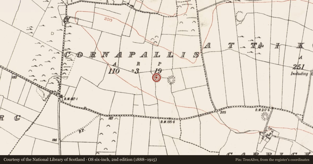 Ordnance Survey six-inch map, 2nd edition (1888–1915) covering the location of Ringfort - rath, Cornapallis, County Roscommon, with a pin at the register's coordinates