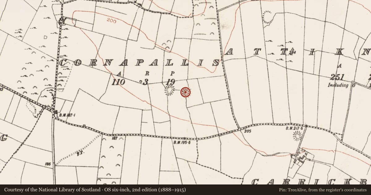 Ordnance Survey six-inch map, 2nd edition (1888–1915) covering the location of Ringfort - rath, Cornapallis, County Roscommon, with a pin at the register's coordinates