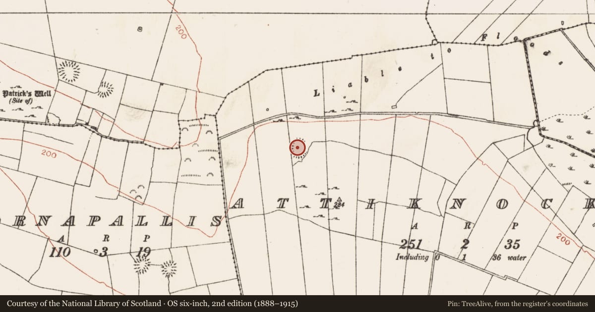 Ordnance Survey six-inch map, 2nd edition (1888–1915) covering the location of Ringfort - rath, Attiknockan, County Roscommon, with a pin at the register's coordinates