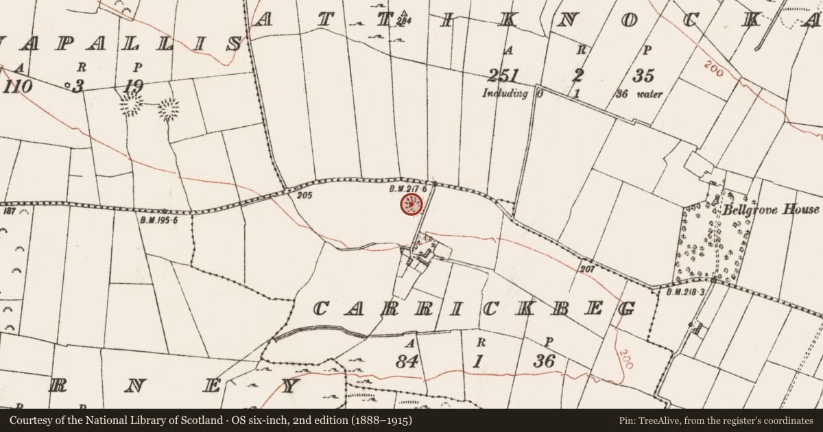 Ordnance Survey six-inch map, 2nd edition (1888–1915) covering the location of Ringfort - rath, Carrickbeg, County Roscommon, with a pin at the register's coordinates