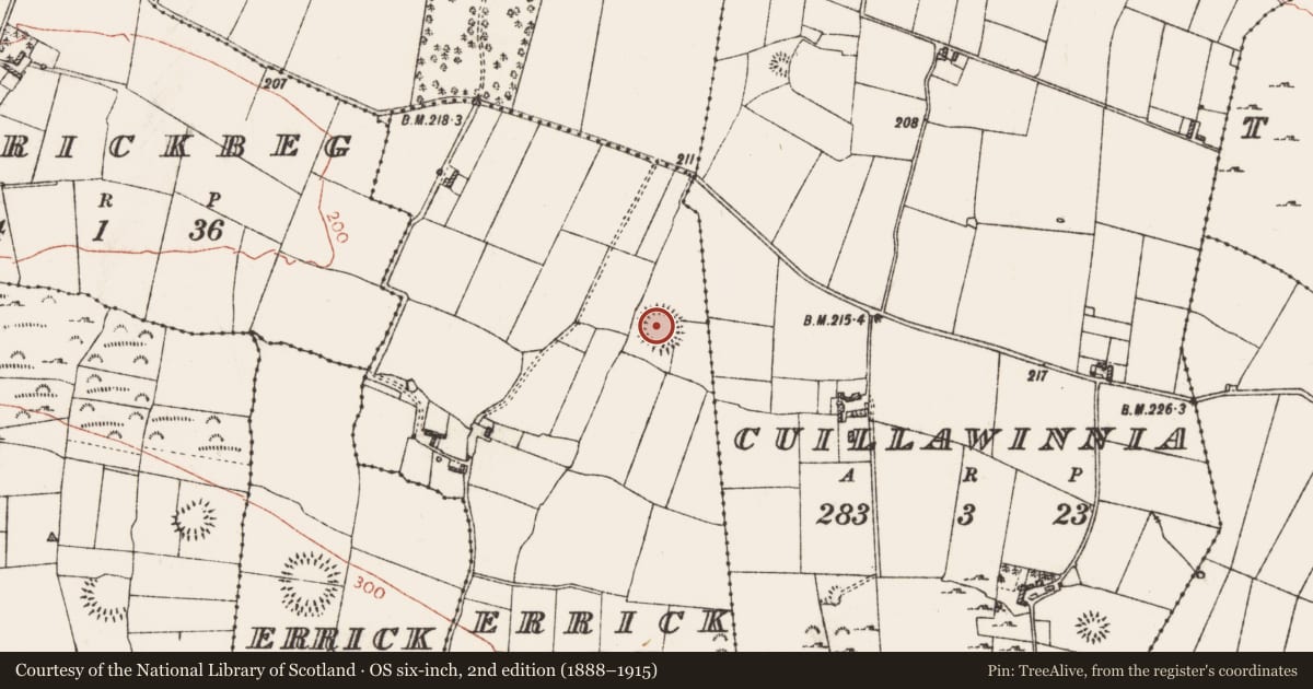 Ordnance Survey six-inch map, 2nd edition (1888–1915) covering the location of Ringfort - rath, Errick More, County Roscommon, with a pin at the register's coordinates