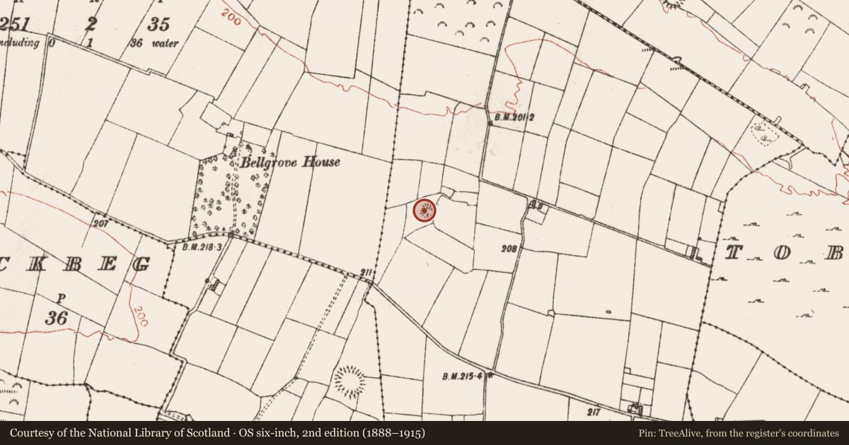 Ordnance Survey six-inch map, 2nd edition (1888–1915) covering the location of Earthwork, Cuillawinnia, County Roscommon, with a pin at the register's coordinates