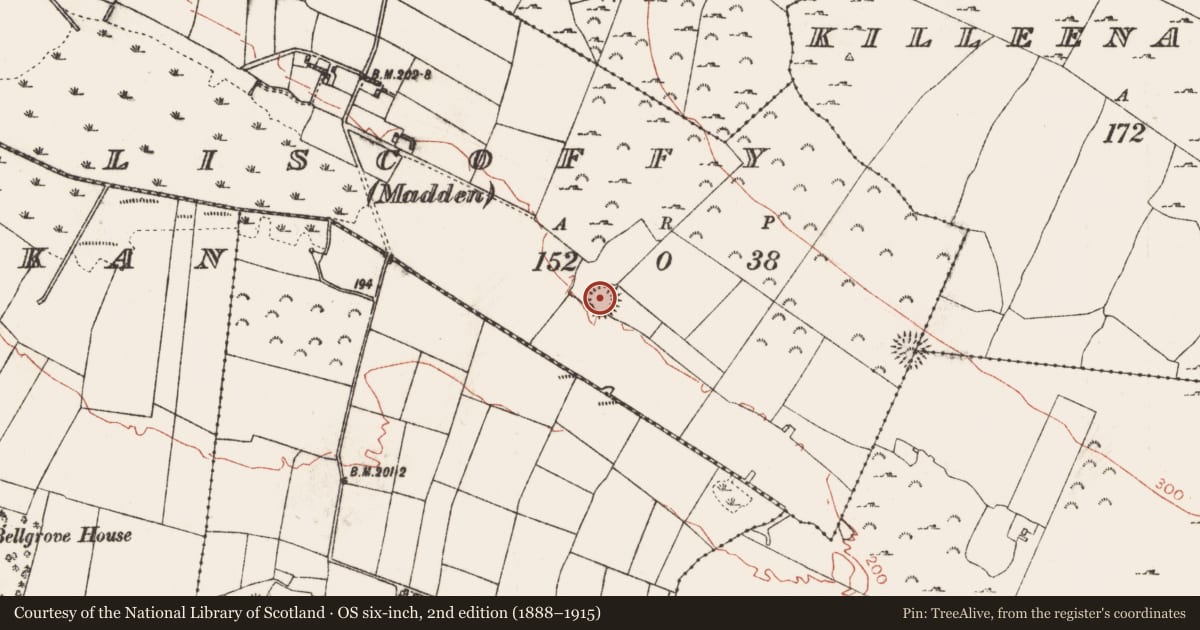 Ordnance Survey six-inch map, 2nd edition (1888–1915) covering the location of Ringfort - rath, Liscoffy (Madden), County Roscommon, with a pin at the register's coordinates