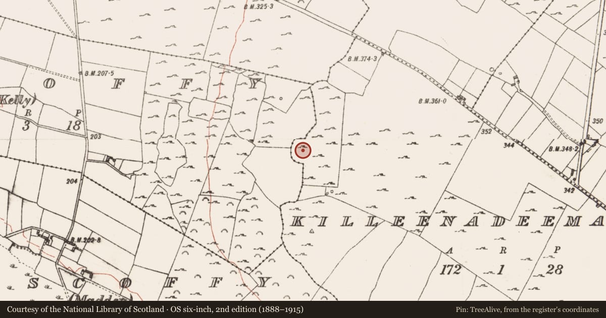Ordnance Survey six-inch map, 2nd edition (1888–1915) covering the location of Enclosure - large enclosure, Liscoffy (Kelly), Killeenadeema, County Roscommon, with a pin at the register's coordinates
