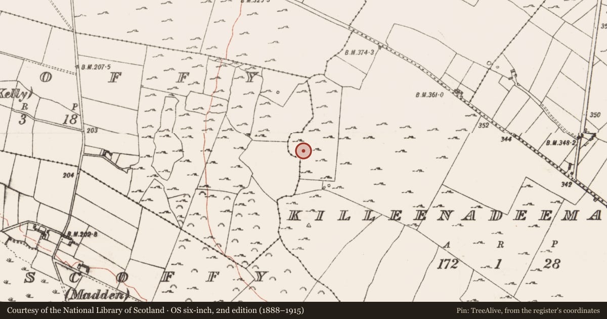 Ordnance Survey six-inch map, 2nd edition (1888–1915) covering the location of Ringfort - cashel, Killeenadeema, County Roscommon, with a pin at the register's coordinates