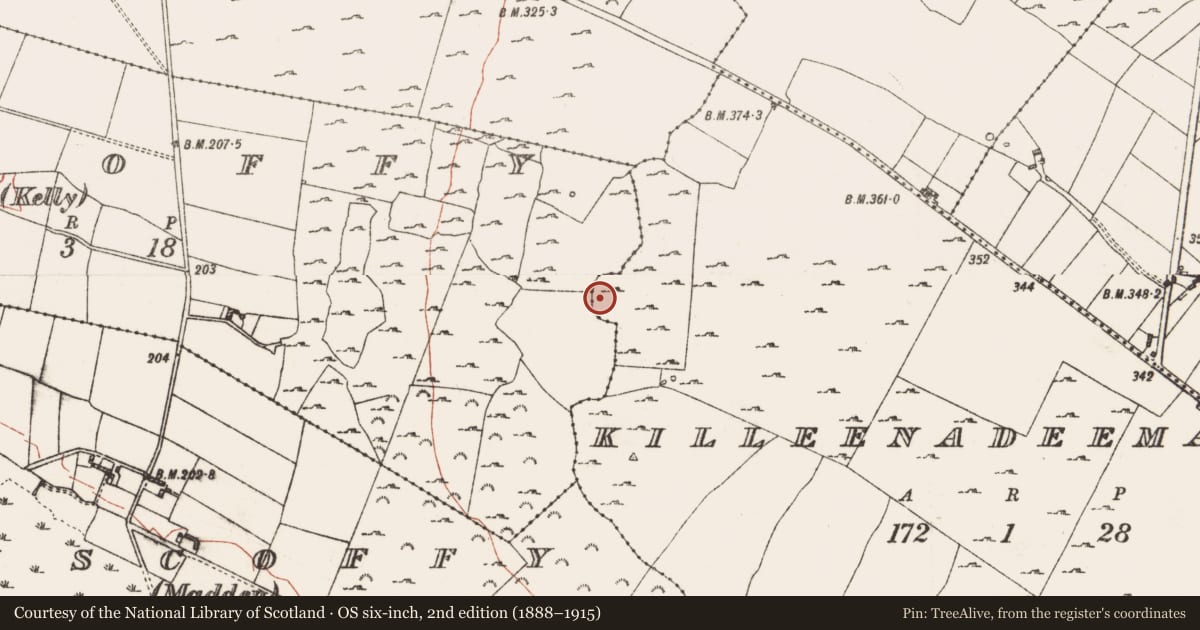 Ordnance Survey six-inch map, 2nd edition (1888–1915) covering the location of House - indeterminate date, Killeenadeema, County Roscommon, with a pin at the register's coordinates