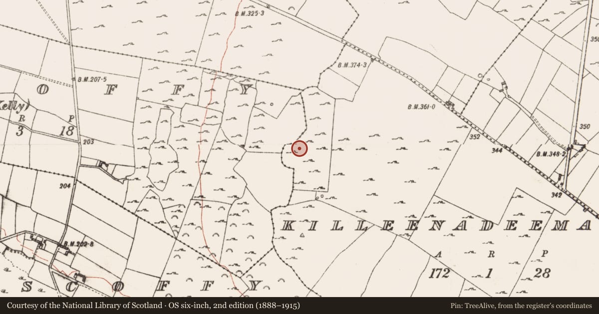 Ordnance Survey six-inch map, 2nd edition (1888–1915) covering the location of Hut site, Killeenadeema, County Roscommon, with a pin at the register's coordinates