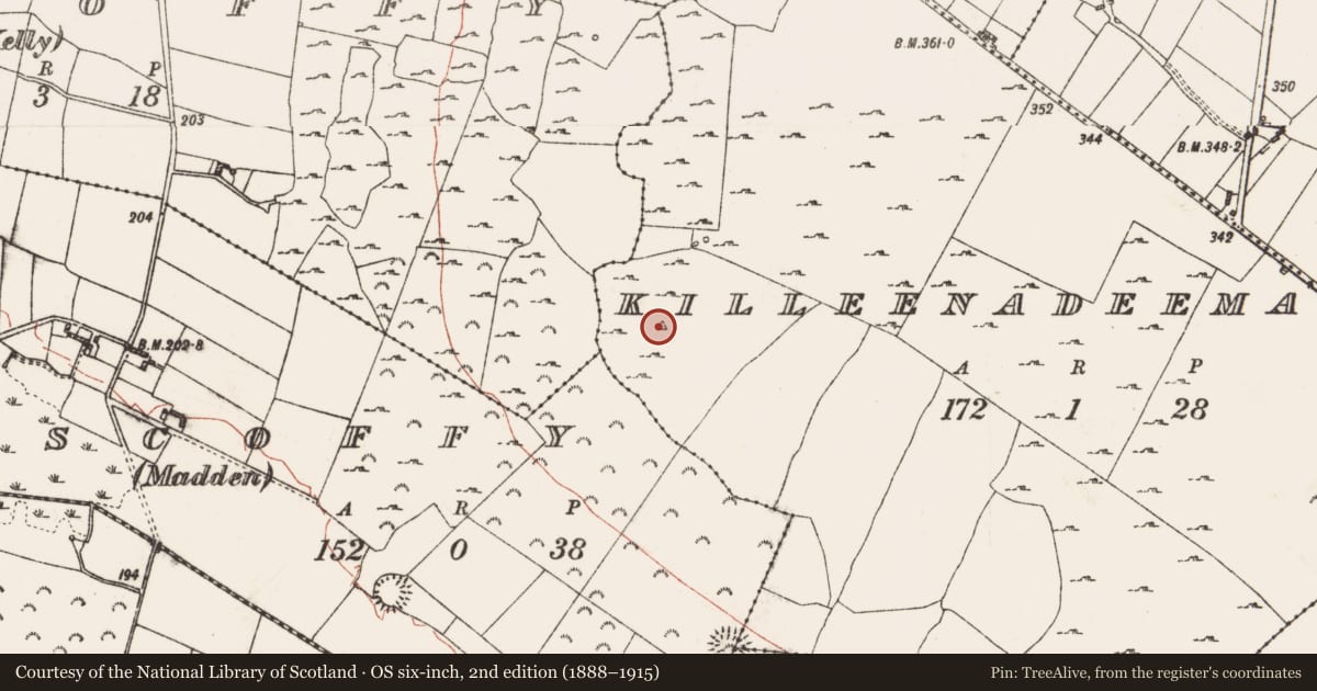 Ordnance Survey six-inch map, 2nd edition (1888–1915) covering the location of Hilltop enclosure, Killeenadeema, County Roscommon, with a pin at the register's coordinates