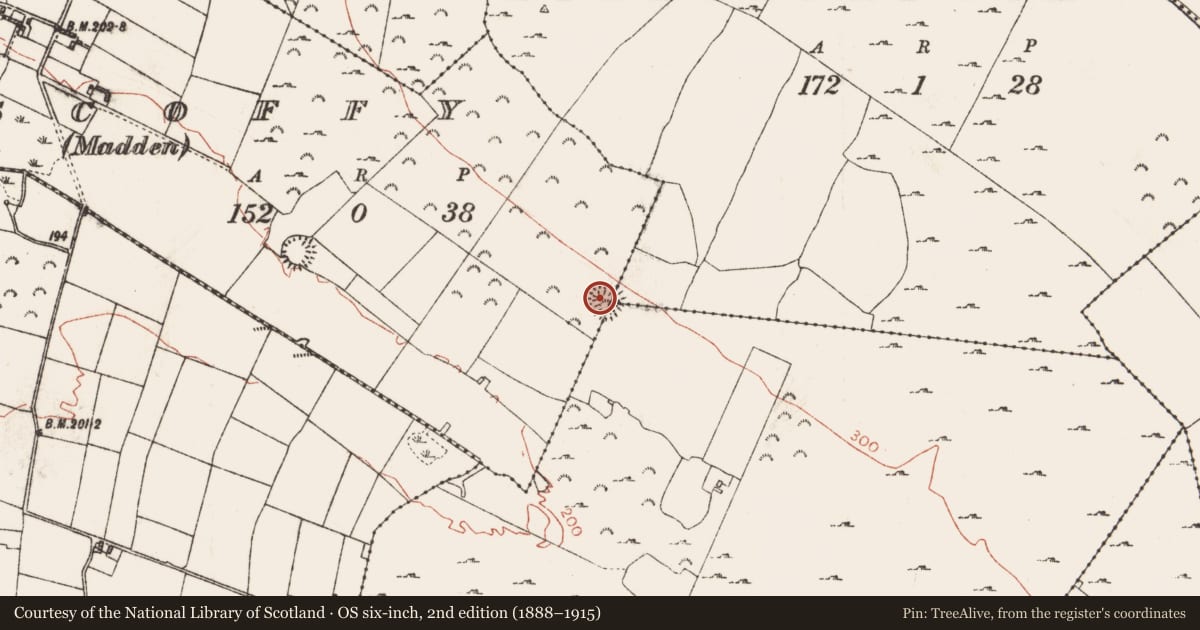 Ordnance Survey six-inch map, 2nd edition (1888–1915) covering the location of Ringfort - rath, County Roscommon, with a pin at the register's coordinates