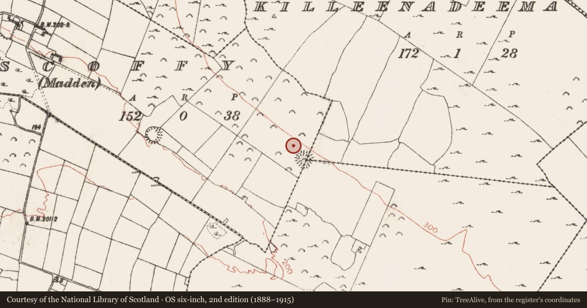 Ordnance Survey six-inch map, 2nd edition (1888–1915) covering the location of Ringfort - rath, Liscoffy (Madden), County Roscommon, with a pin at the register's coordinates