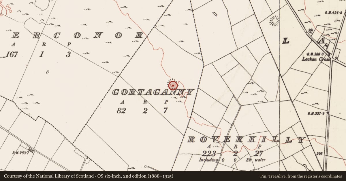 Ordnance Survey six-inch map, 2nd edition (1888–1915) covering the location of Ringfort - rath, Gortaganny, County Roscommon, with a pin at the register's coordinates