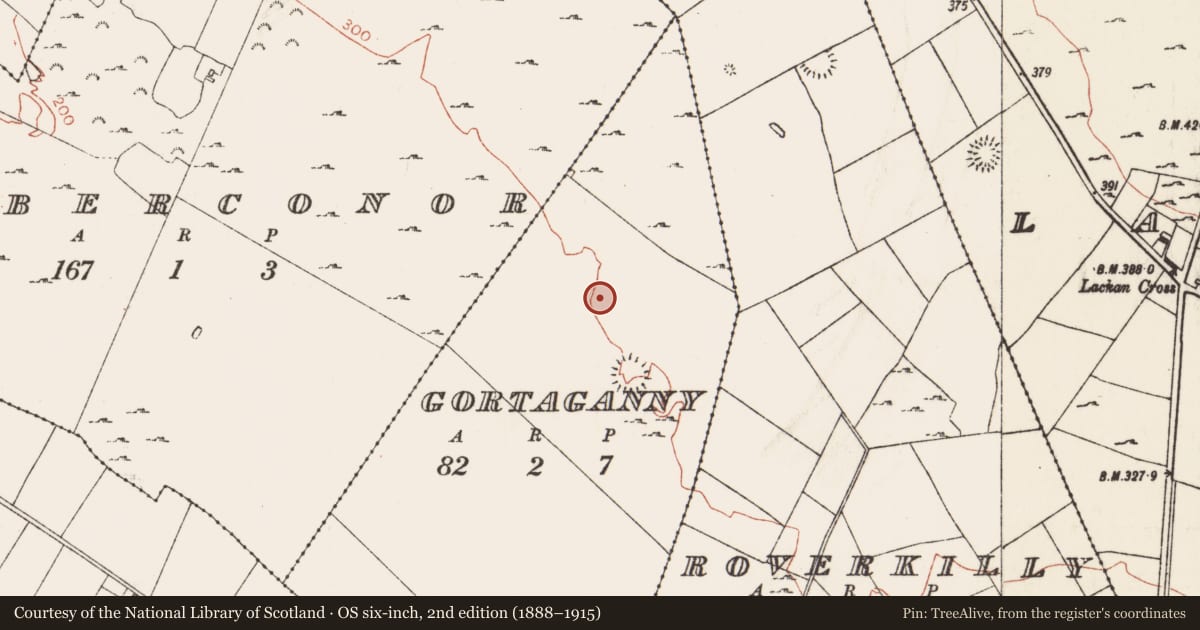 Ordnance Survey six-inch map, 2nd edition (1888–1915) covering the location of Field system, Gortaganny, County Roscommon, with a pin at the register's coordinates