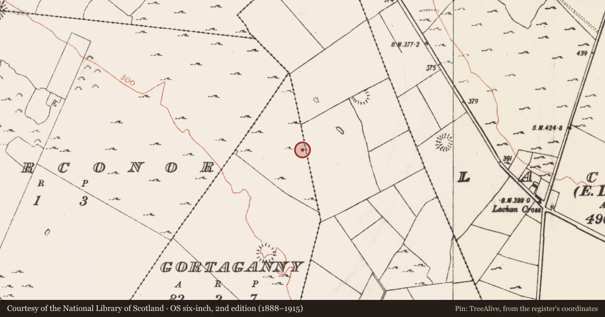 Ordnance Survey six-inch map, 2nd edition (1888–1915) covering the location of Ringfort - rath, Gortaganny, Roverkilly, County Roscommon, with a pin at the register's coordinates