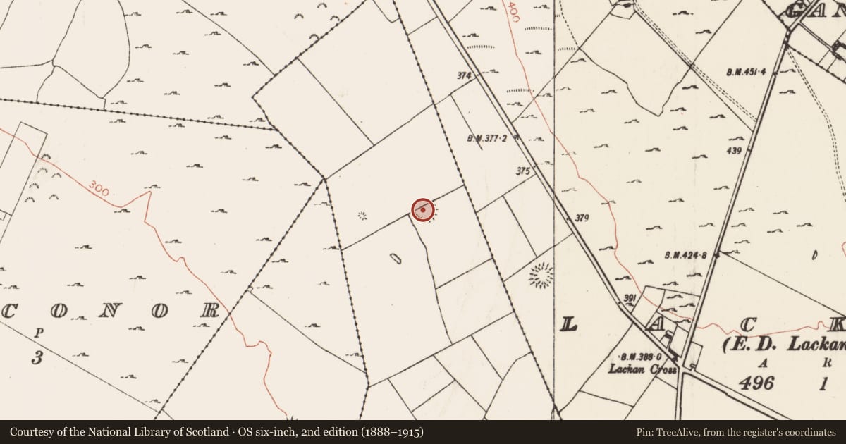 Ordnance Survey six-inch map, 2nd edition (1888–1915) covering the location of Ringfort - rath, Roverkilly, County Roscommon, with a pin at the register's coordinates
