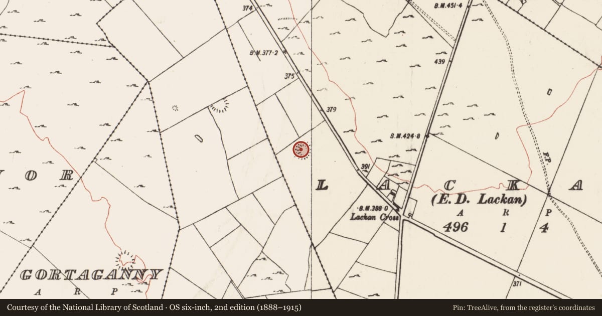 Ordnance Survey six-inch map, 2nd edition (1888–1915) covering the location of Ringfort - rath, Lackan, County Roscommon, with a pin at the register's coordinates