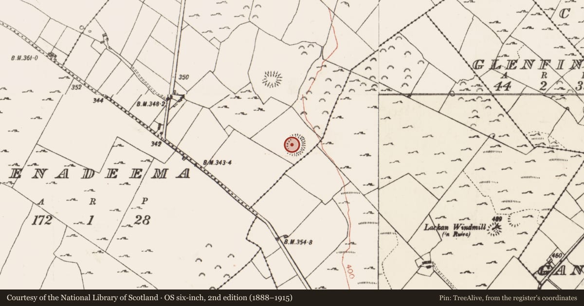 Ordnance Survey six-inch map, 2nd edition (1888–1915) covering the location of Ringfort - rath, Skrine, County Roscommon, with a pin at the register's coordinates