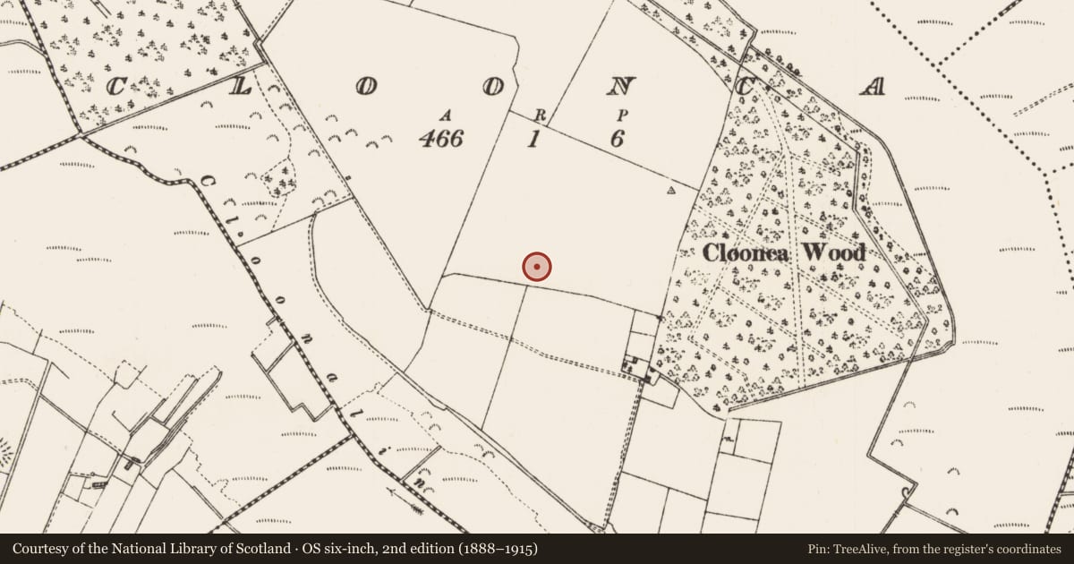 Ordnance Survey six-inch map, 2nd edition (1888–1915) covering the location of Souterrain, Cloonca, County Roscommon, with a pin at the register's coordinates
