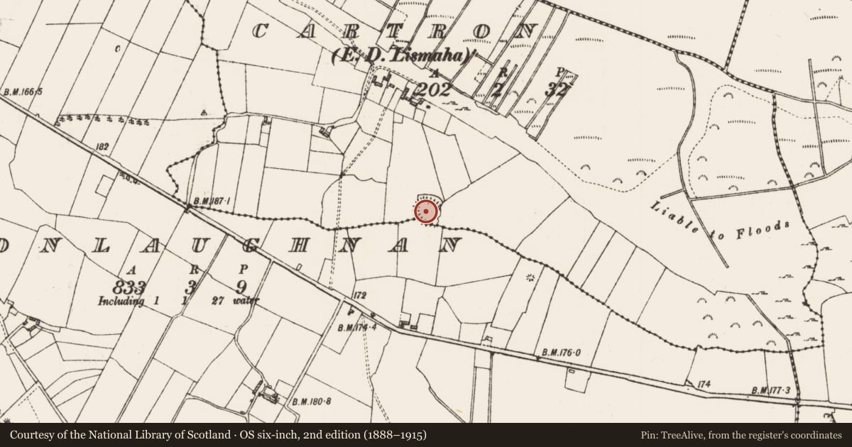 Ordnance Survey six-inch map, 2nd edition (1888–1915) covering the location of Ringfort - rath, Cartron, Cloonlaughnan, County Roscommon, with a pin at the register's coordinates
