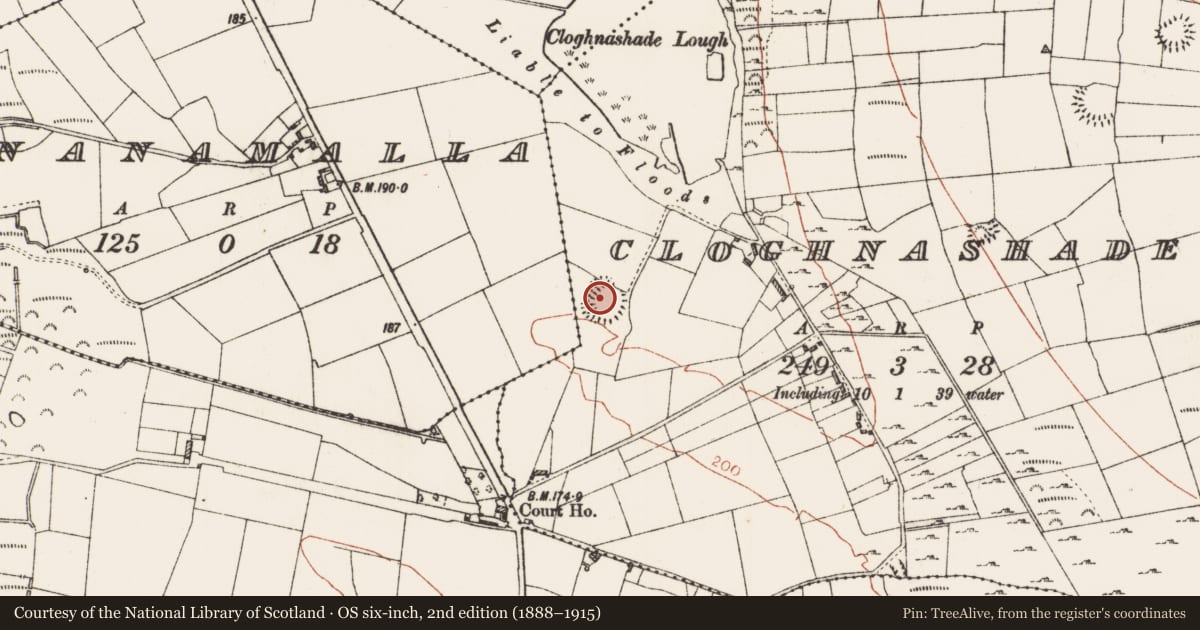 Ordnance Survey six-inch map, 2nd edition (1888–1915) covering the location of Ringfort - rath, Cloghnashade, County Roscommon, with a pin at the register's coordinates