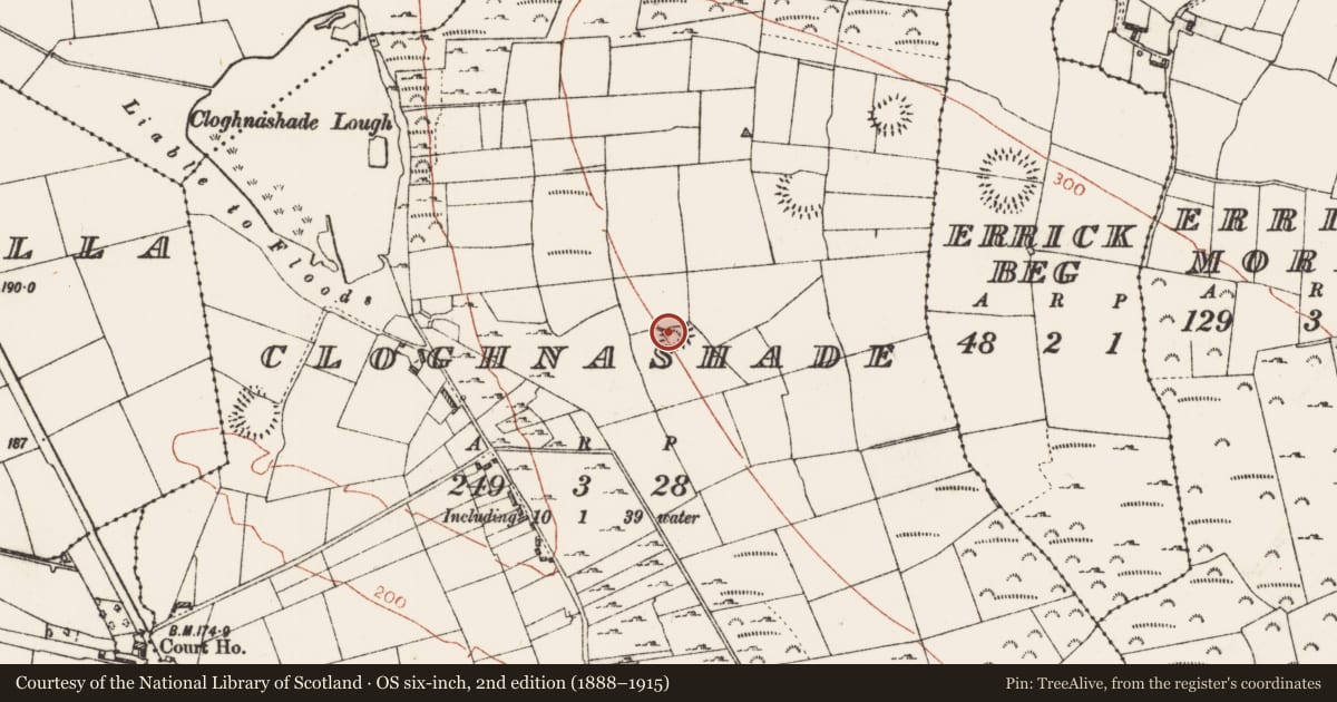 Ordnance Survey six-inch map, 2nd edition (1888–1915) covering the location of Ringfort - rath, Cloghnashade, County Roscommon, with a pin at the register's coordinates