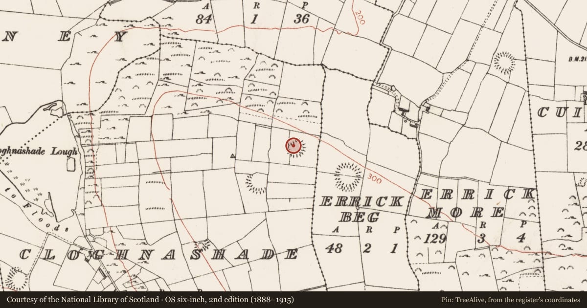 Ordnance Survey six-inch map, 2nd edition (1888–1915) covering the location of Ringfort - rath, Cloghnashade, County Roscommon, with a pin at the register's coordinates