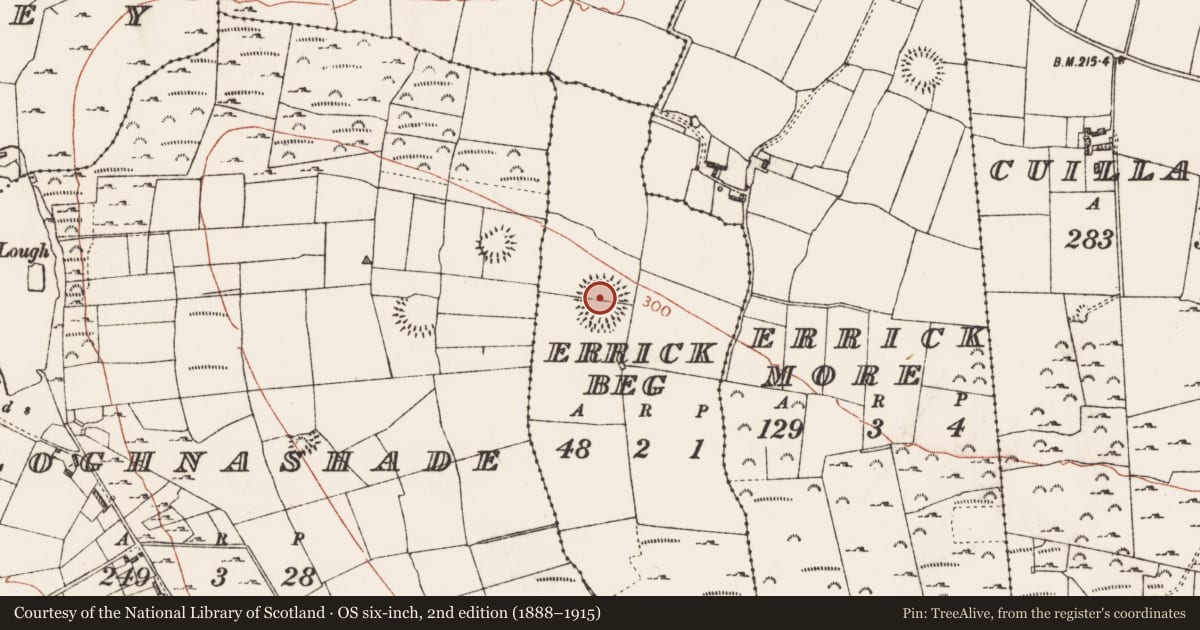 Ordnance Survey six-inch map, 2nd edition (1888–1915) covering the location of Ringfort - rath, Errick Beg, County Roscommon, with a pin at the register's coordinates