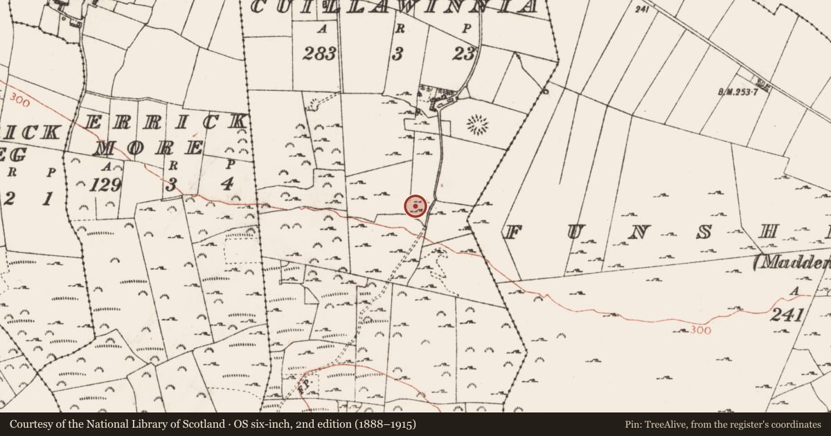 Ordnance Survey six-inch map, 2nd edition (1888–1915) covering the location of Ringfort - cashel, Cuillawinnia, County Roscommon, with a pin at the register's coordinates
