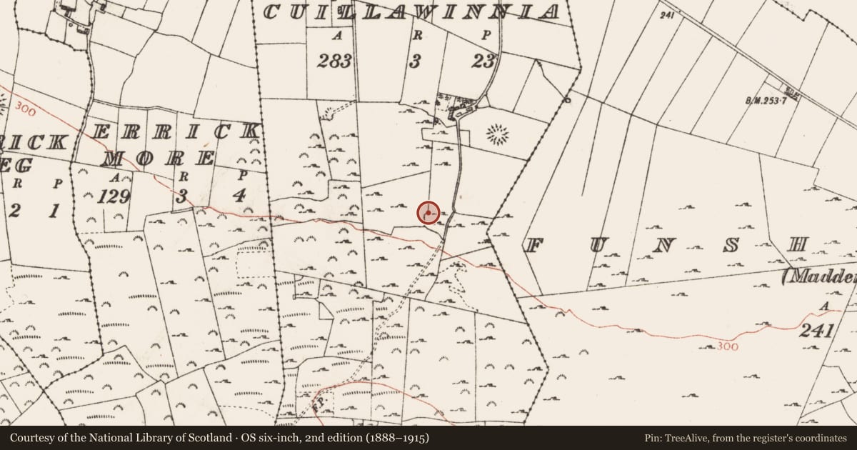 Ordnance Survey six-inch map, 2nd edition (1888–1915) covering the location of Souterrain, Cuillawinnia, County Roscommon, with a pin at the register's coordinates