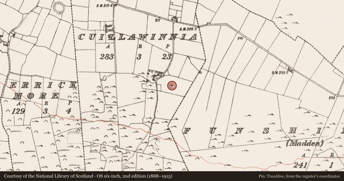Ordnance Survey six-inch map, 2nd edition (1888–1915) covering the location of Ringfort - rath, Cuillawinnia, County Roscommon, with a pin at the register's coordinates