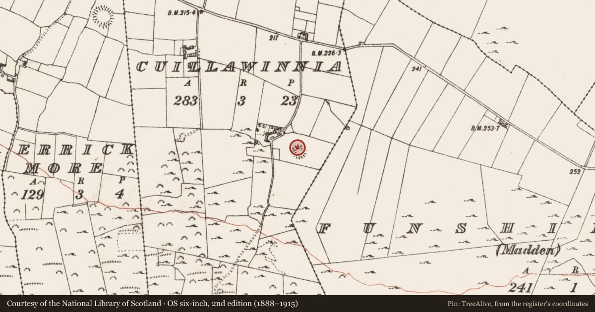 Ordnance Survey six-inch map, 2nd edition (1888–1915) covering the location of Souterrain, Cuillawinnia, County Roscommon, with a pin at the register's coordinates