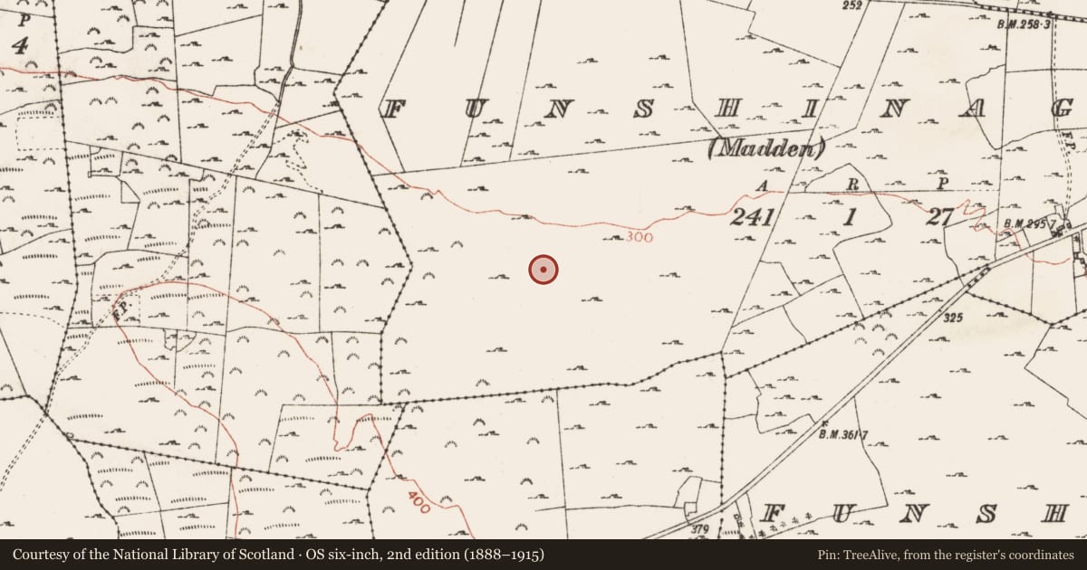 Ordnance Survey six-inch map, 2nd edition (1888–1915) covering the location of Field system, Funshinagh (Trench), Funshinagh (Madden), County Roscommon, with a pin at the register's coordinates