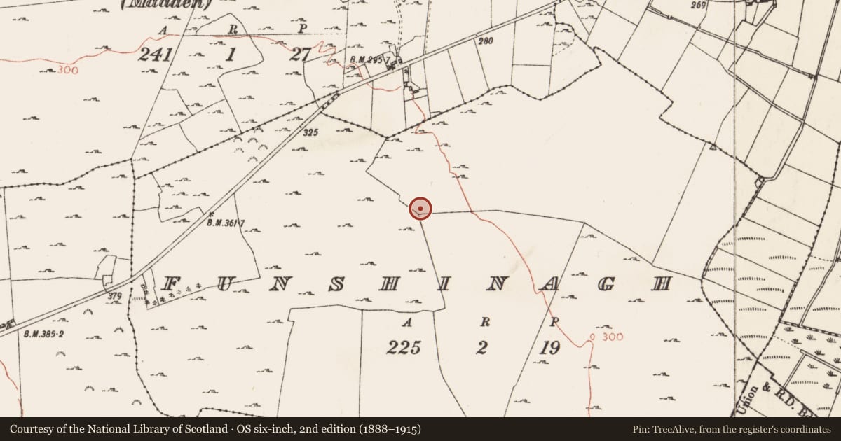 Ordnance Survey six-inch map, 2nd edition (1888–1915) covering the location of Ringfort - rath, Funshinagh, County Roscommon, with a pin at the register's coordinates