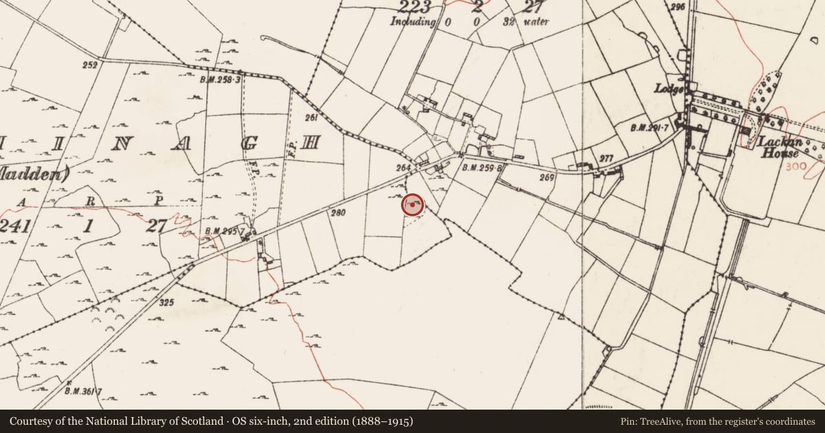 Ordnance Survey six-inch map, 2nd edition (1888–1915) covering the location of Ringfort - rath, Funshinagh (Madden), County Roscommon, with a pin at the register's coordinates